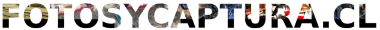 Logo pie de página
